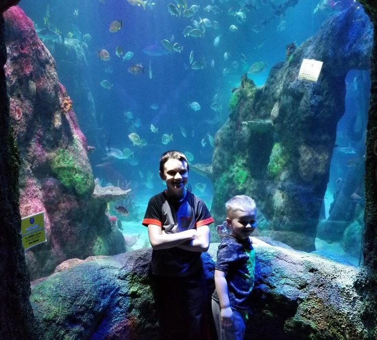 SEA LIFE Michigan Aquarium (Auburn&nbspHills,&nbspMI)